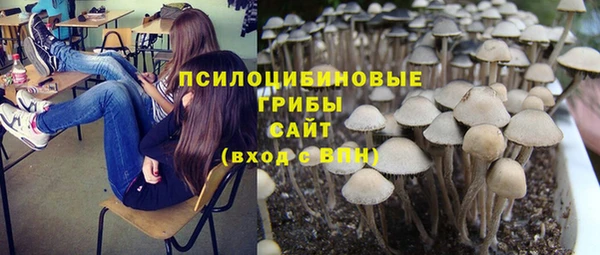 гидропоника Беломорск