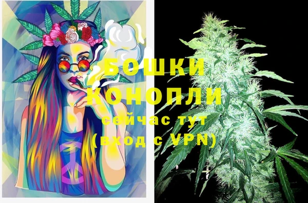 ПСИЛОЦИБИНОВЫЕ ГРИБЫ Белокуриха
