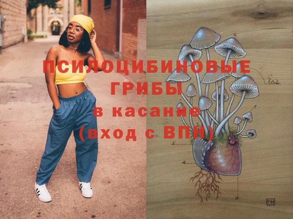 гидропоника Беломорск