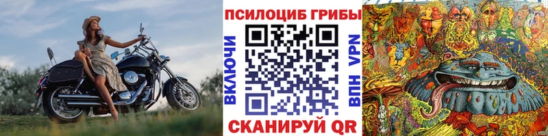 Псилоцибиновые грибы MAGIC MUSHROOMS  Городовиковск 